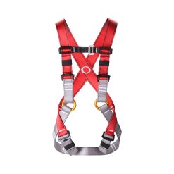 REICIO ADQR1 Kids Full-Body Safety Harness