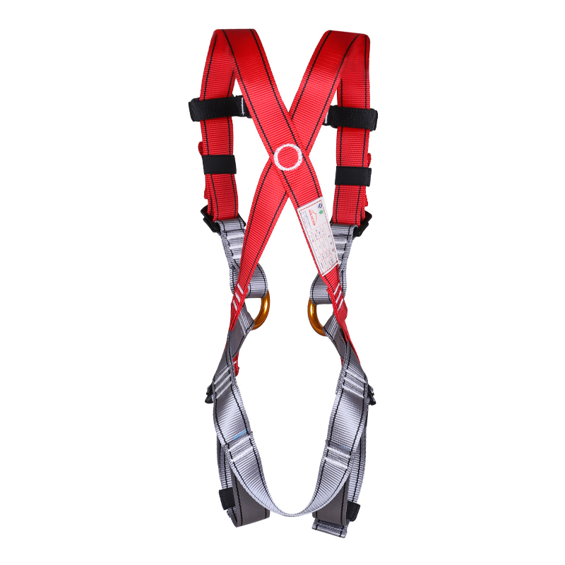 REICIO ADQR1 Kids Full-Body Safety Harness - Image 3