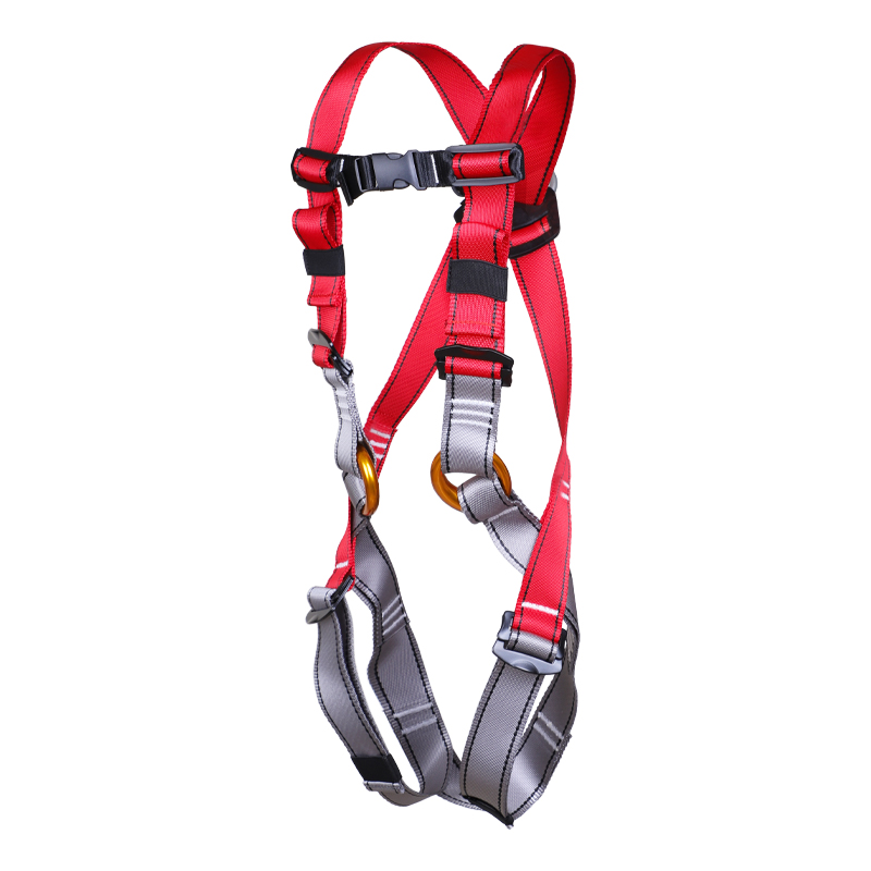 REICIO ADQR2 Kids Full-Body Safety Harness - Image 2