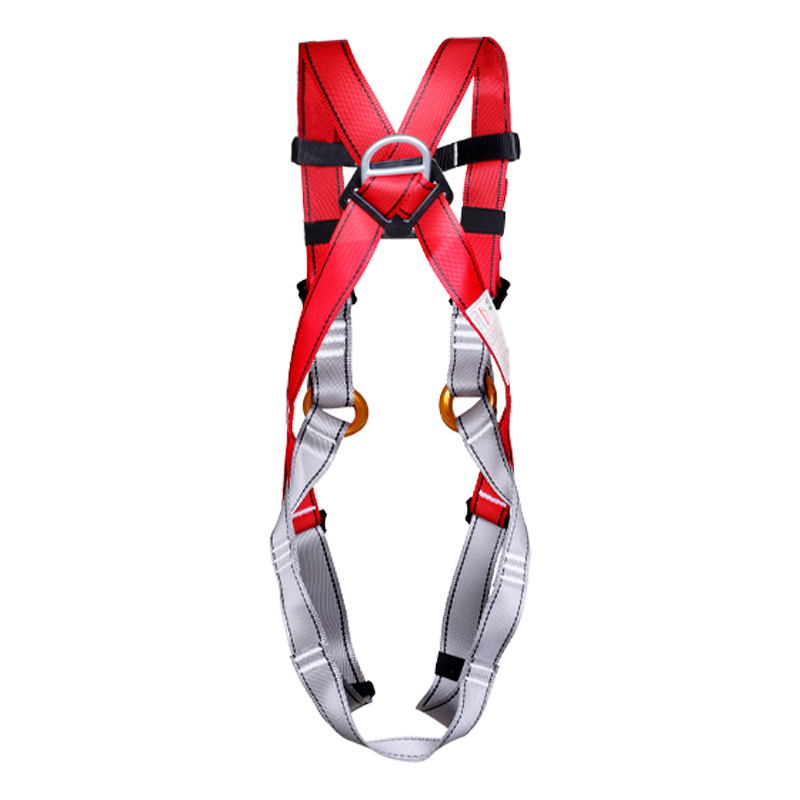 REICIO ADQR2 Kids Full-Body Safety Harness - Image 3