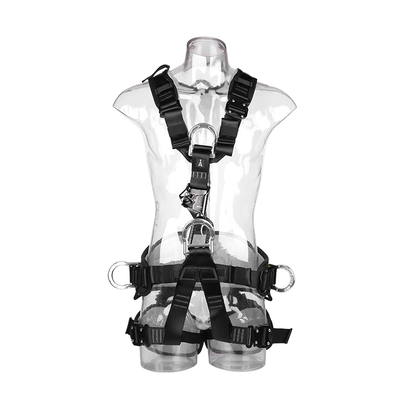 REICIO AQDQ10 Full-Body Harness