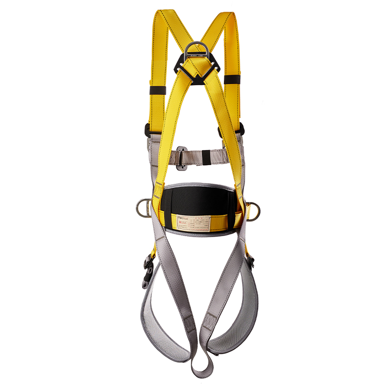 REICIO AQDQ2 Full-Body 5-Point Safety Harness - Image 3