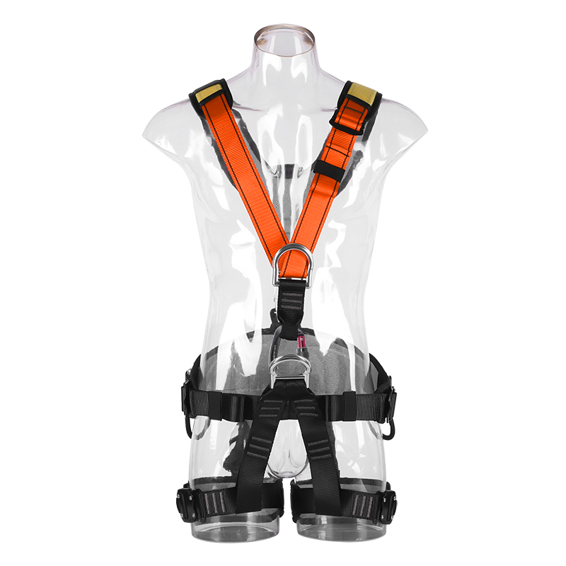 REICIO AQDR1 Kids Full-Body Harness - Image 3