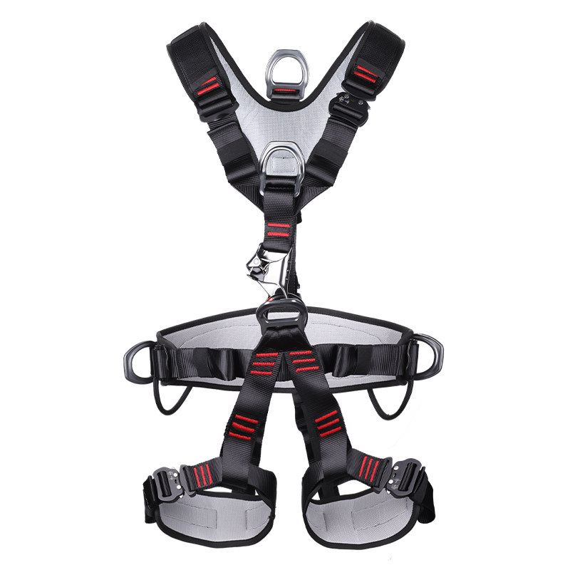 REICIO AQDX1 Full-Body Harness with Chest Ascender