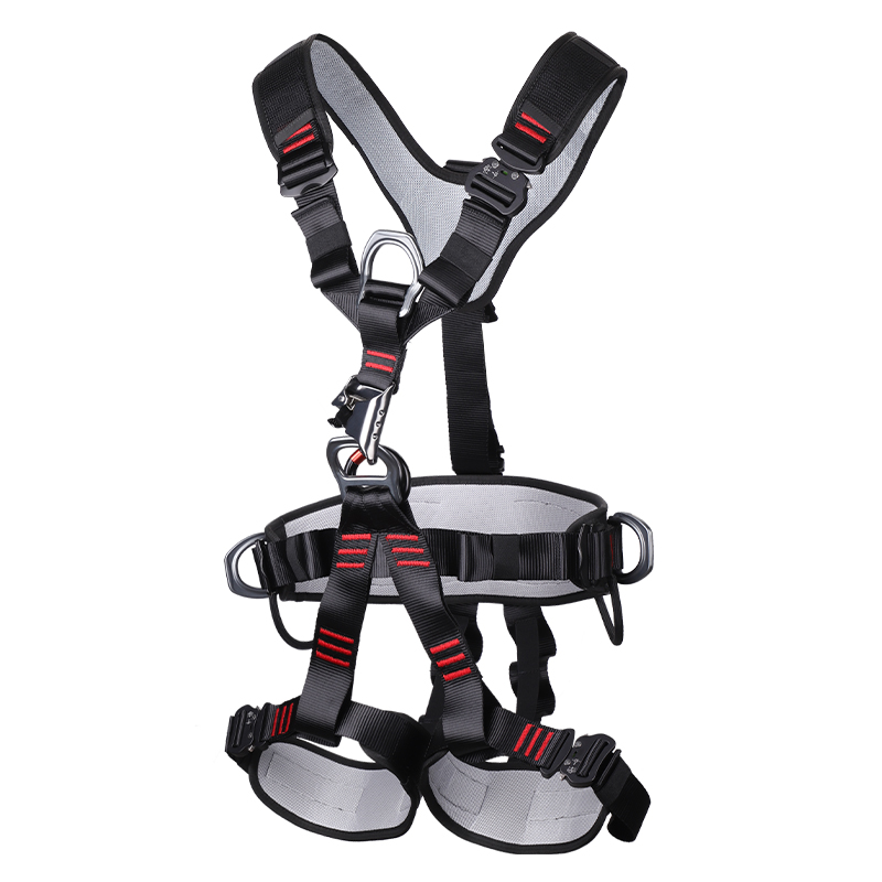 REICIO AQDX1 Full-Body Harness with Chest Ascender - Image 2