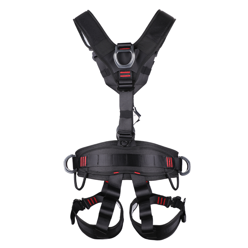 REICIO AQDX1 Full-Body Harness with Chest Ascender - Image 3