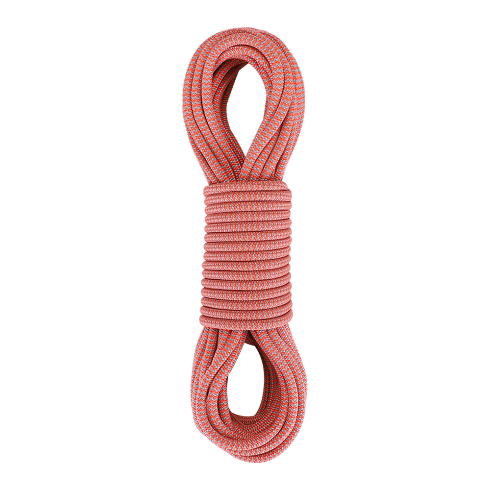 REICIO AQS-FS Accessory Cord