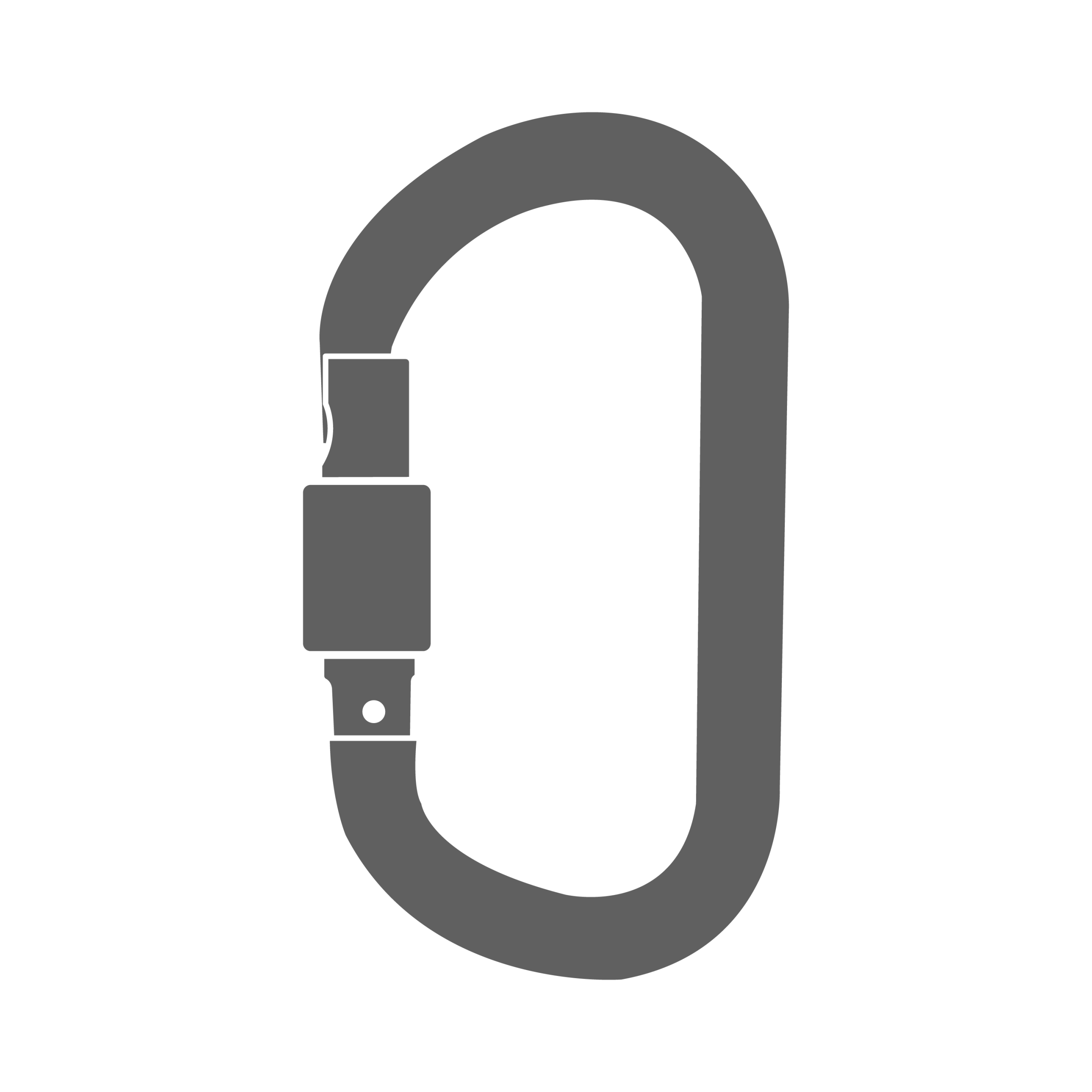 Carabiners and connectors