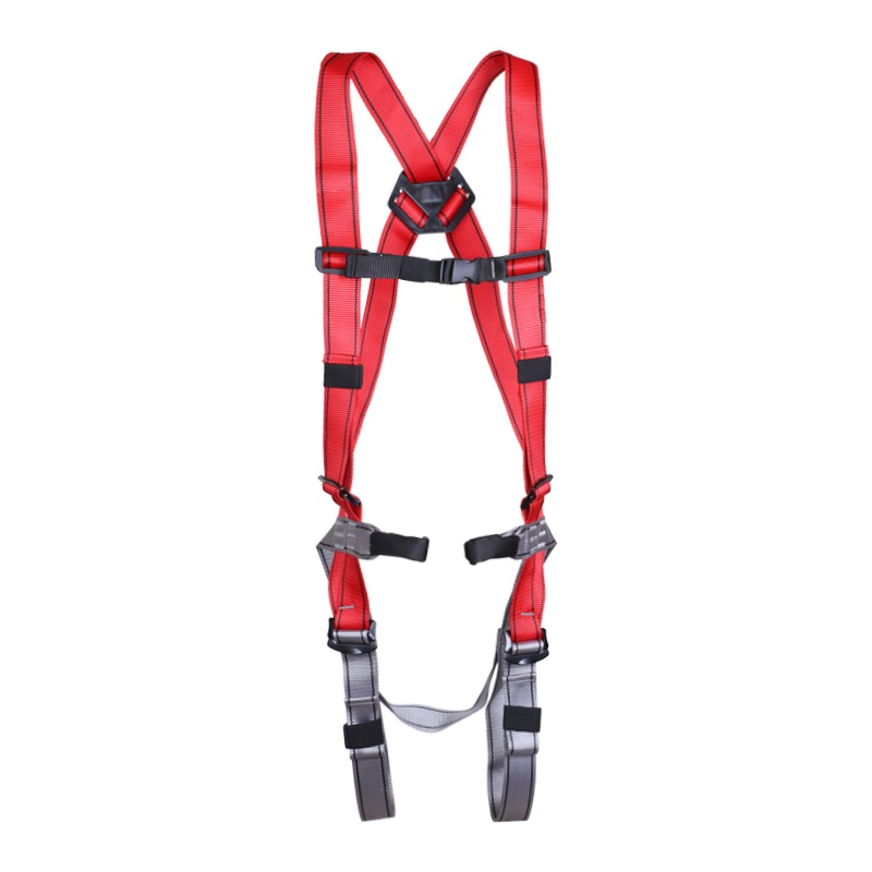 REICIO SY-DD-II-ST02 Type II Full-Body Safety Harness - Image 2